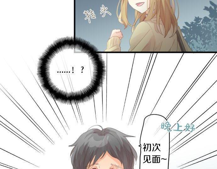 第178话 重要的话。11