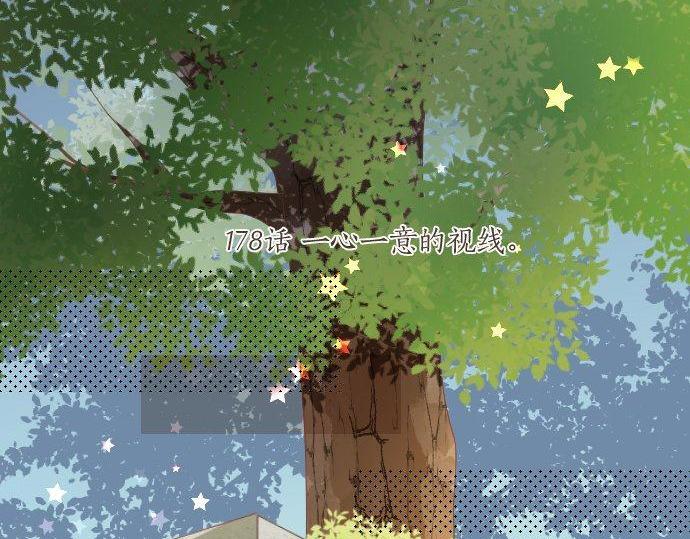 第178话 重要的话。4