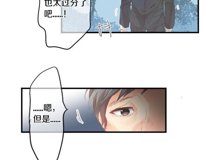 第178话 重要的话。41