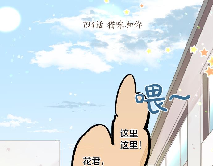 第194话 猫咪和你10