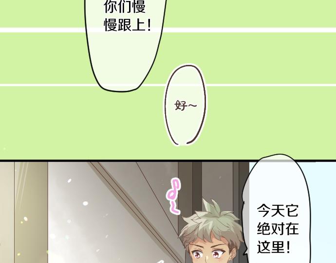 第194话 猫咪和你15
