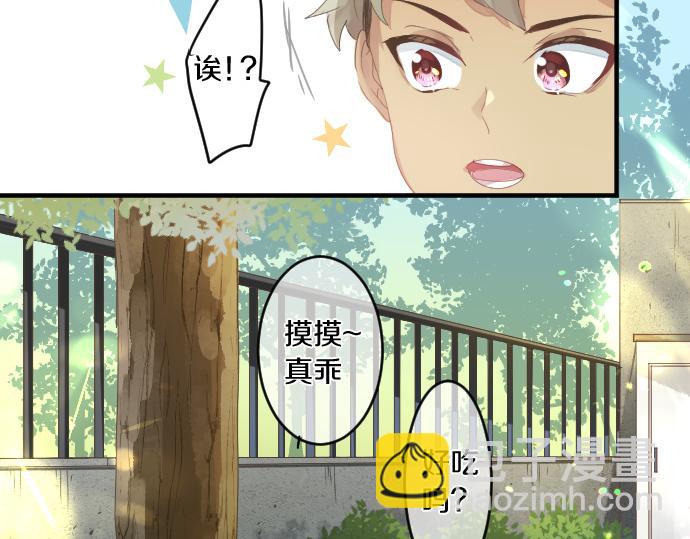 第194话 猫咪和你17
