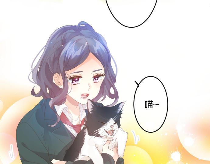 第194话 猫咪和你19