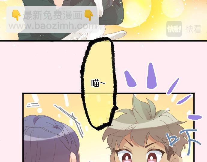 第194话 猫咪和你20