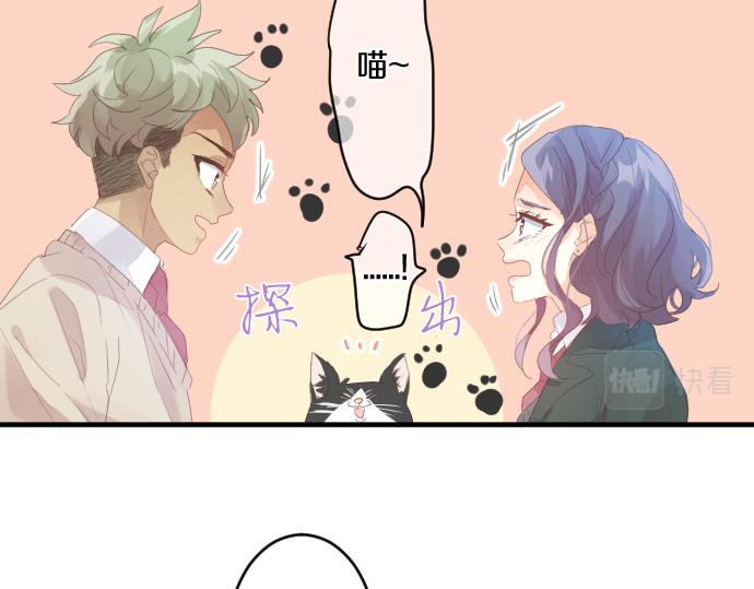 第194话 猫咪和你29