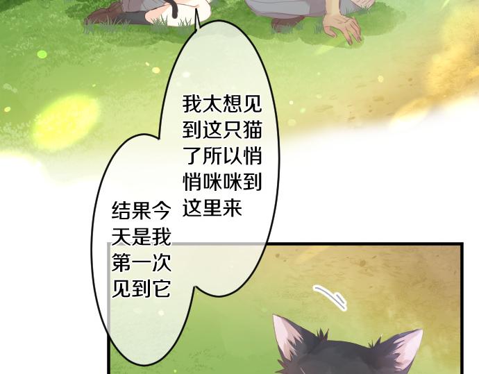 第194话 猫咪和你35