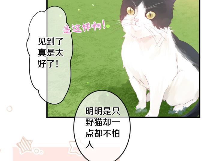 第194话 猫咪和你36