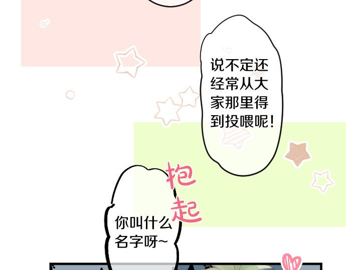 第194话 猫咪和你37