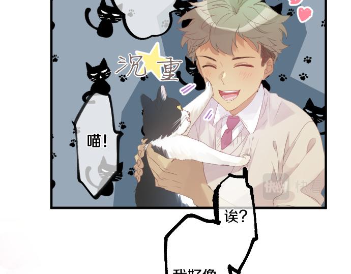 第194话 猫咪和你38