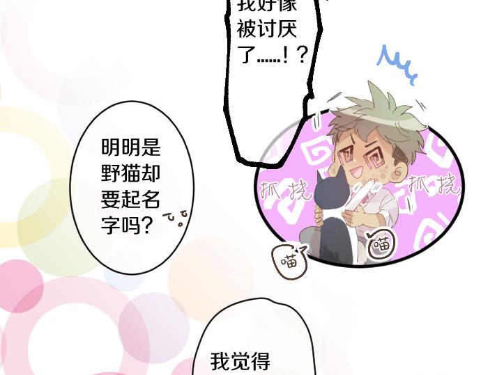 第194话 猫咪和你39
