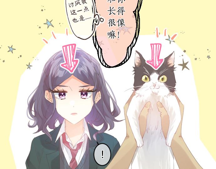 第194话 猫咪和你41