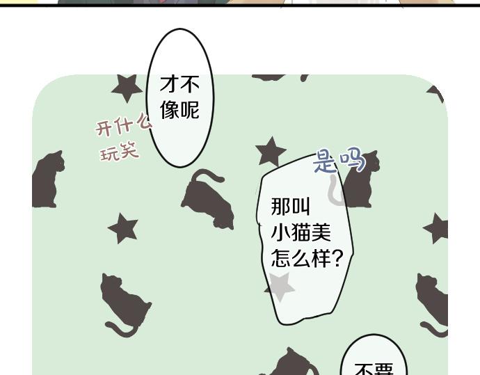 第194话 猫咪和你42