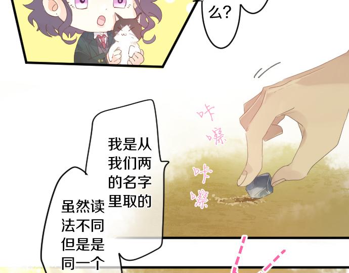 第194话 猫咪和你46