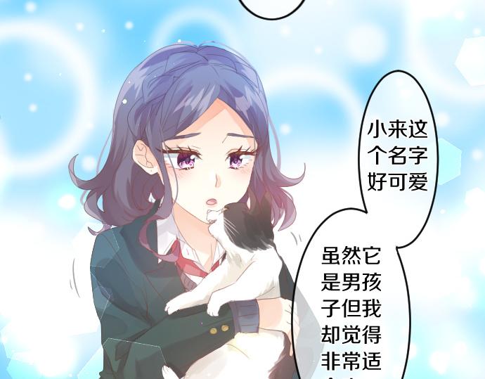 第194话 猫咪和你54
