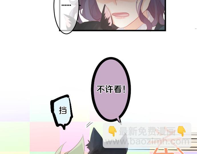 第194话 猫咪和你59