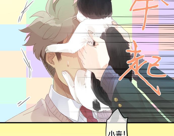 第194话 猫咪和你60