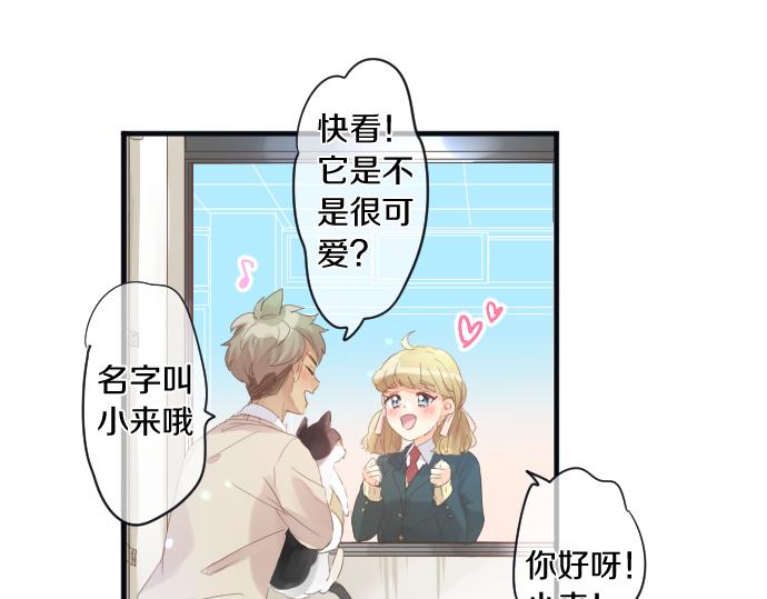 第194话 猫咪和你65