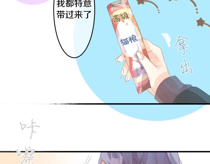 第194话 猫咪和你8