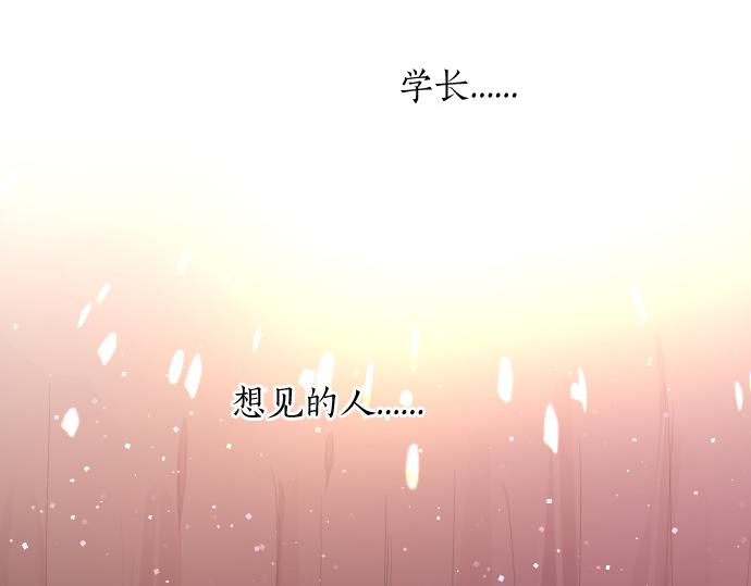 第230话 纪念日4