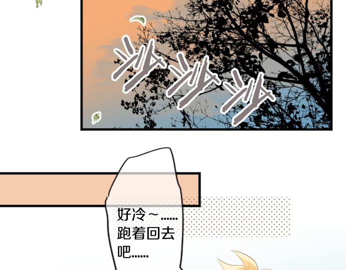 第253话 影子之内4