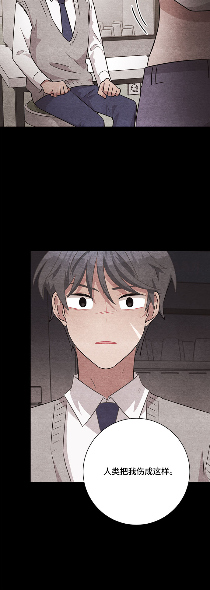 第47话46