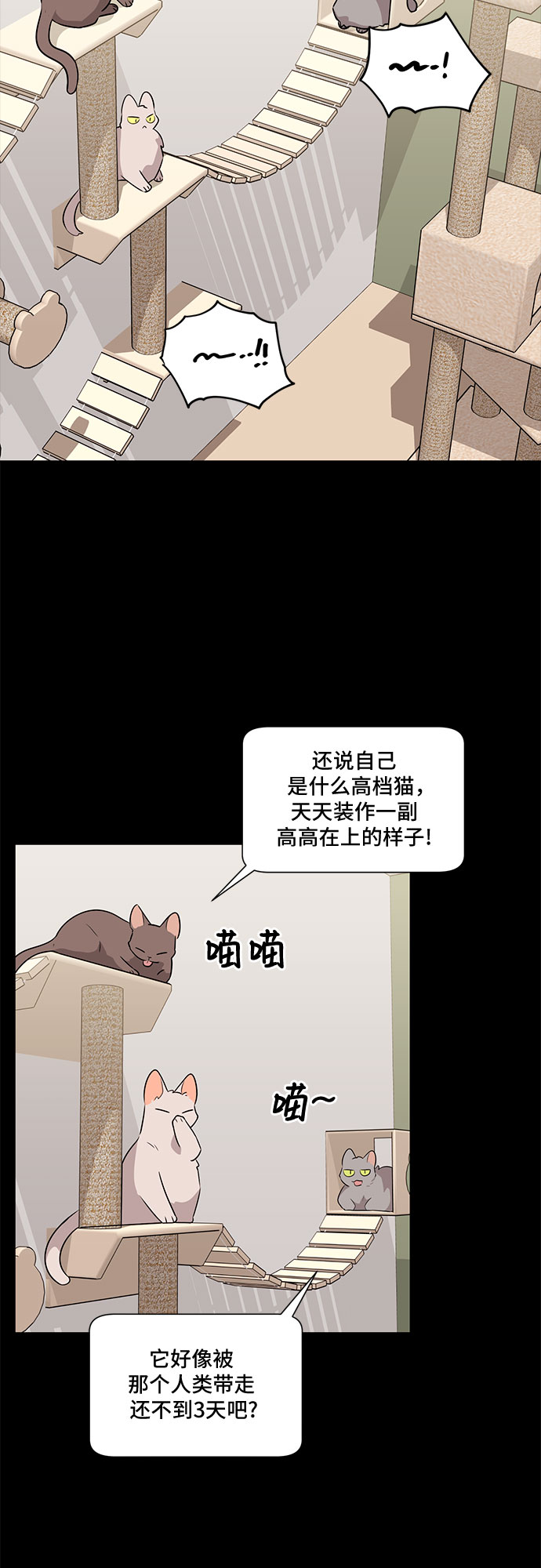 第53话16