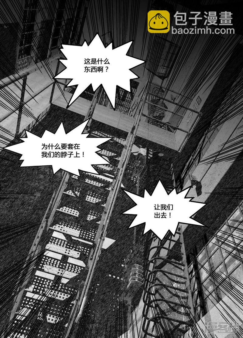 141 141项圈6