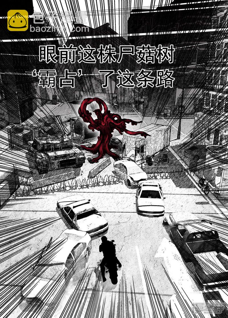 157 157新的伙伴3