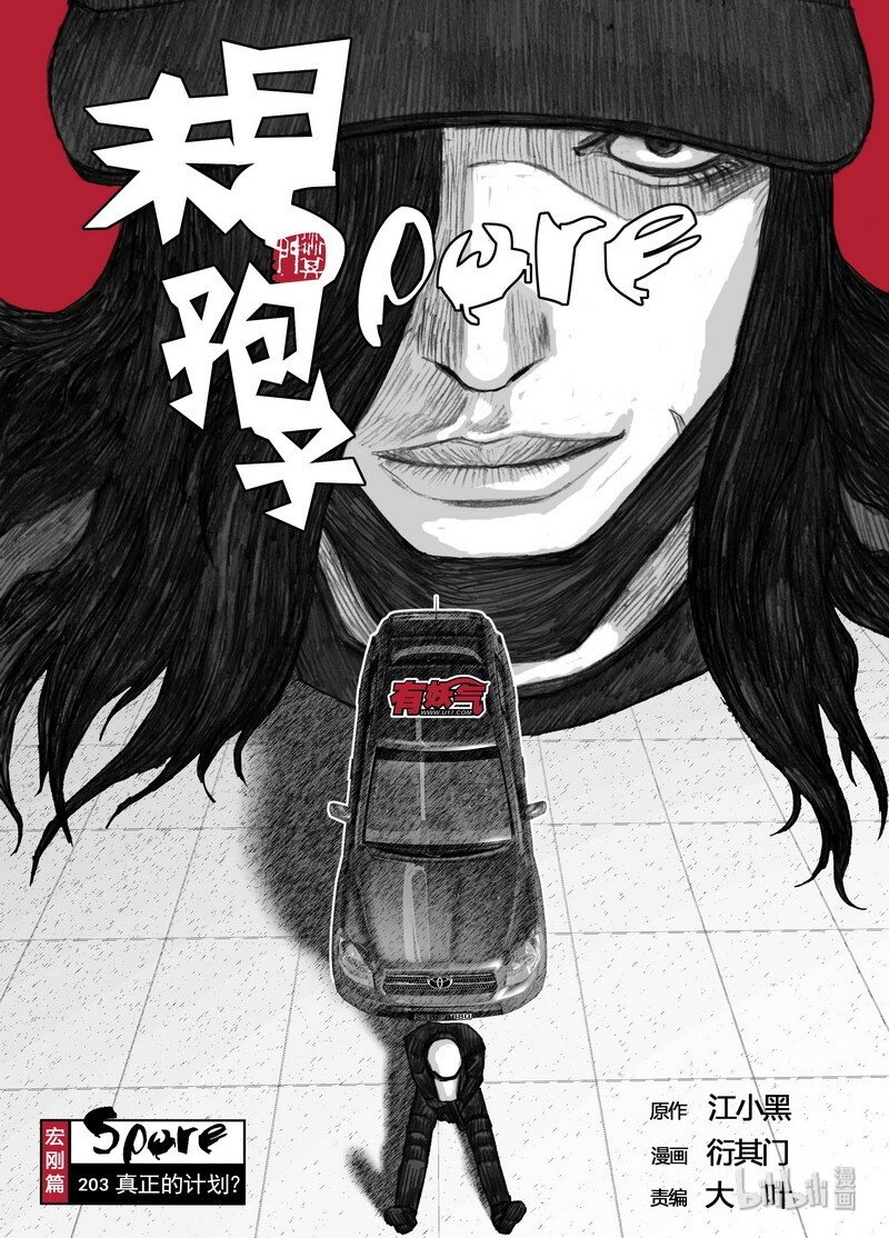 203 203真正的计划？0