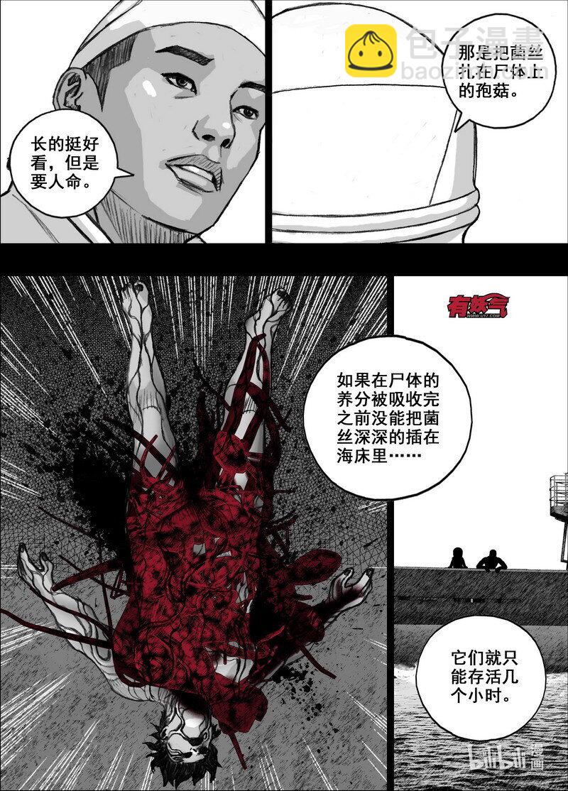 216 216从巷子到海边11