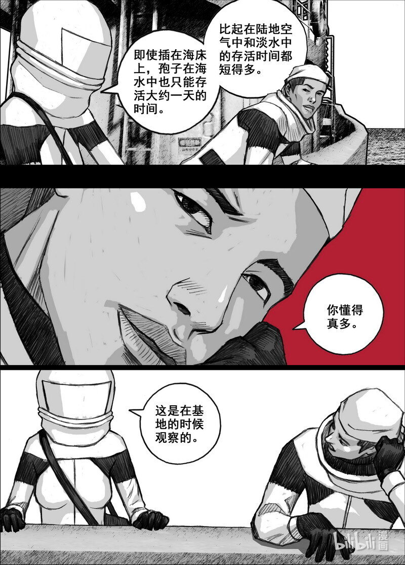 216 216从巷子到海边12