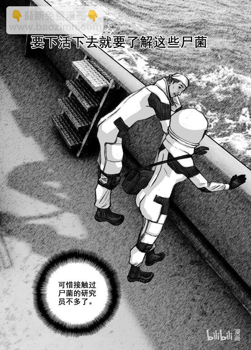 216 216从巷子到海边13