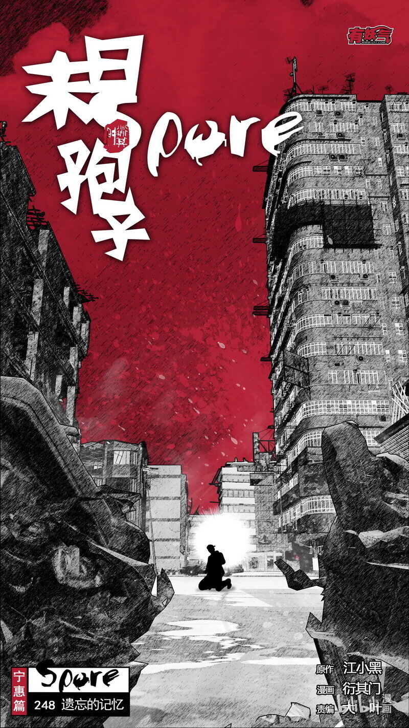 248 248遗忘的记忆0