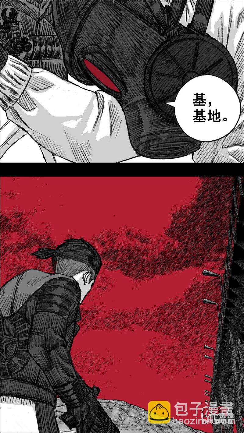255 255花开富贵11