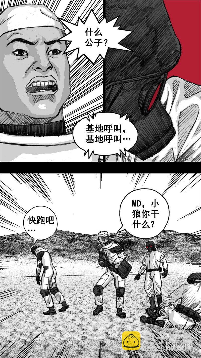 255 255花开富贵16