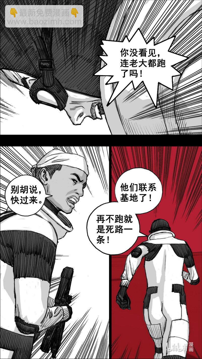 255 255花开富贵17