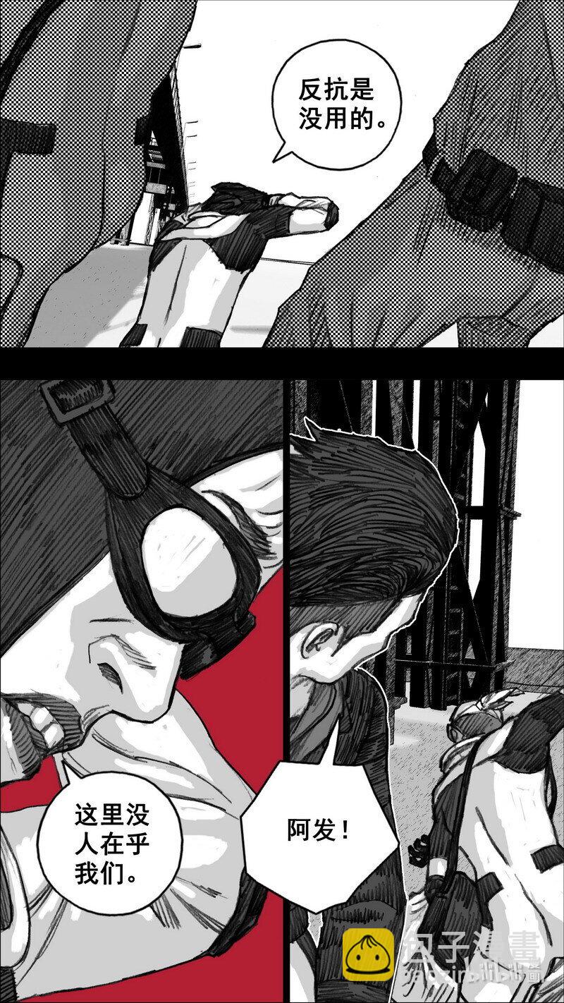 255 255花开富贵9
