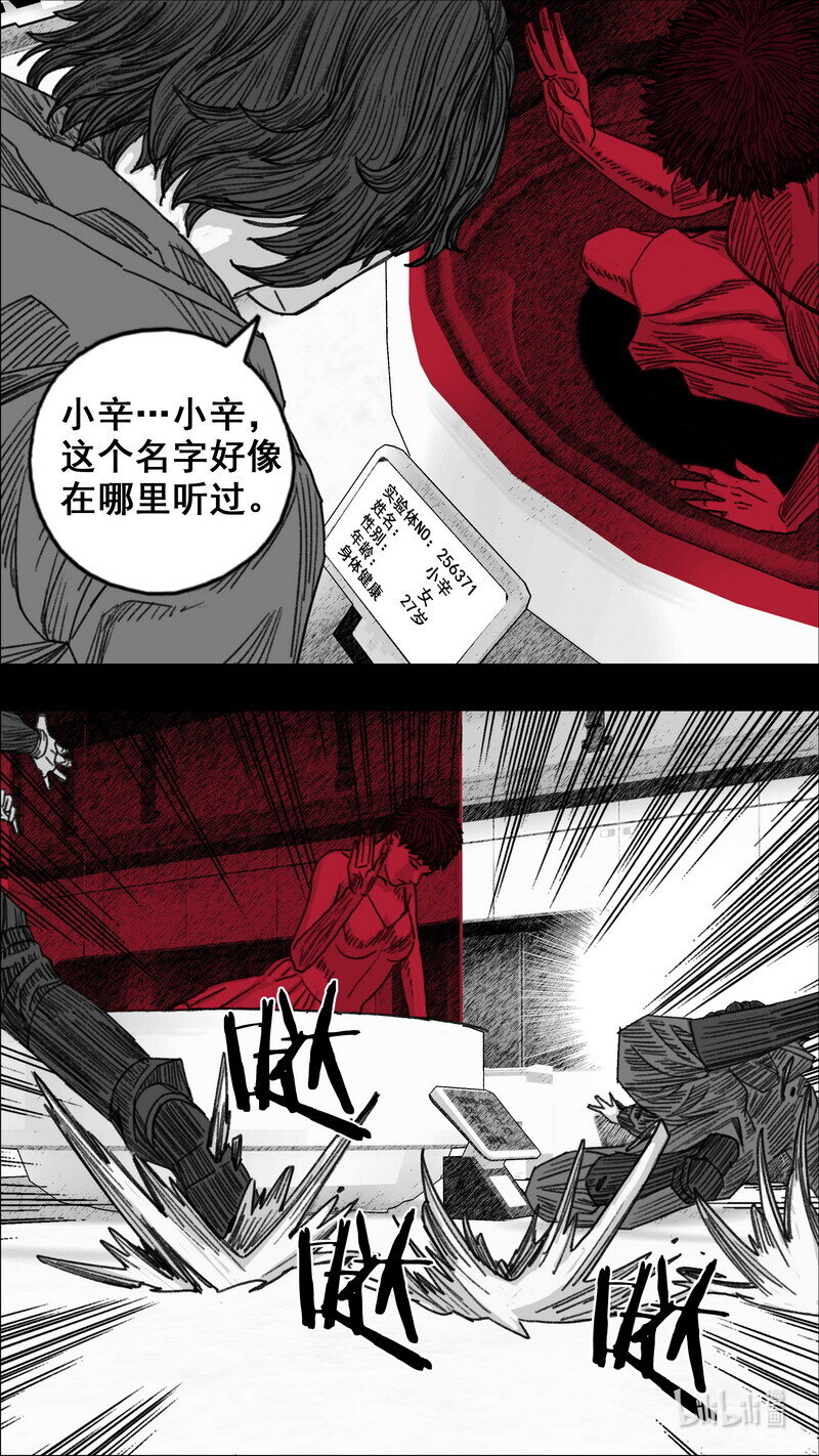 296 完美感染3