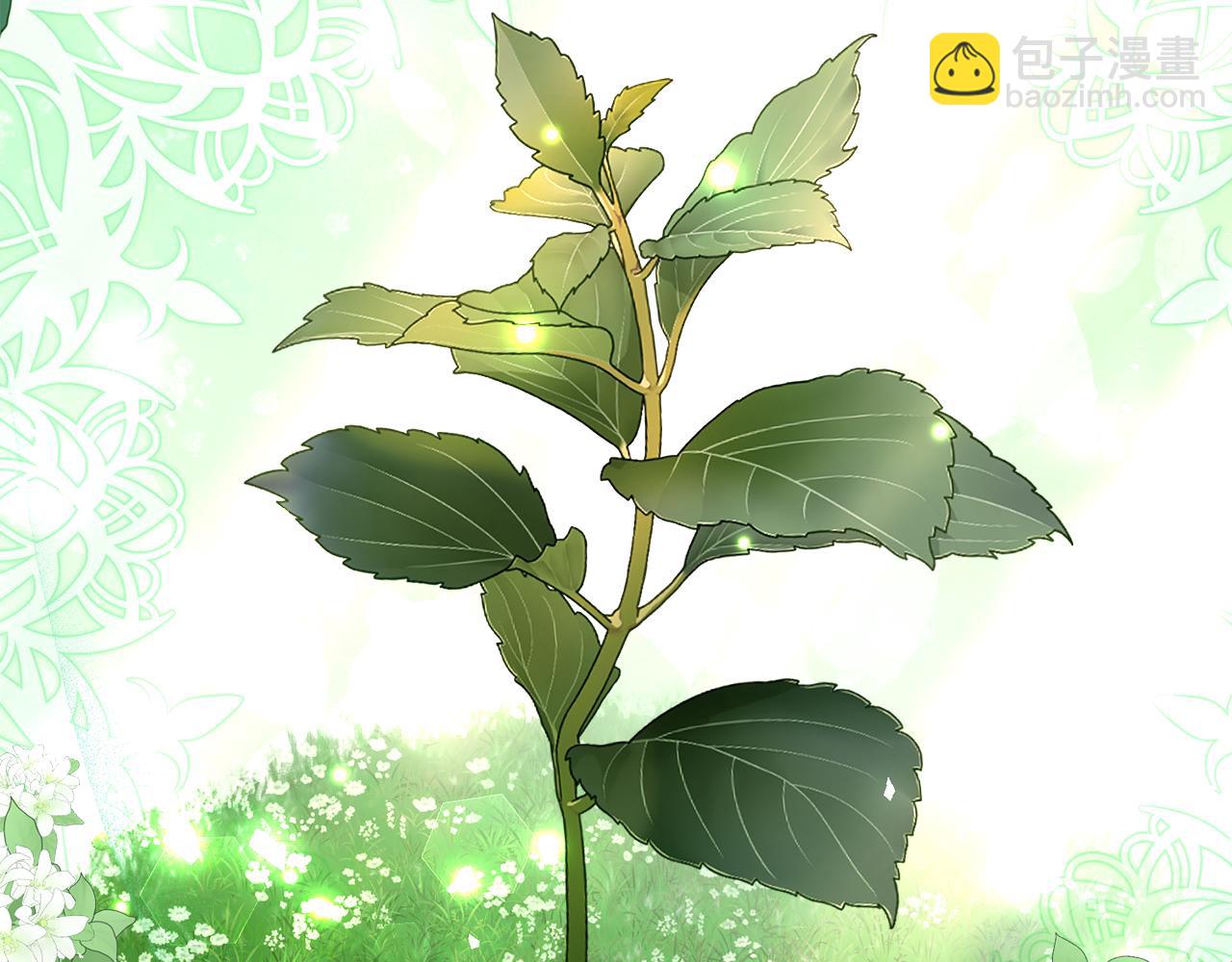 第6话 做药给妈妈38