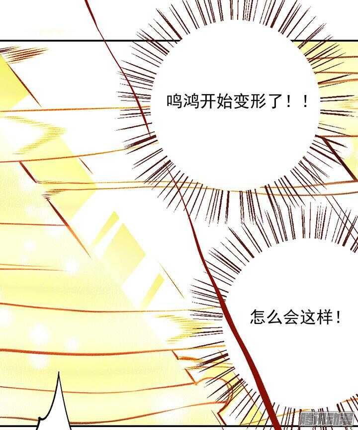 春节特辑114
