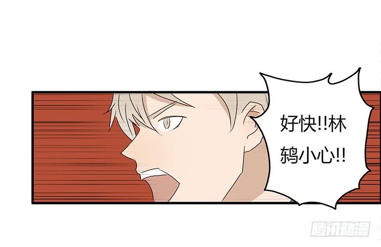第一季 37.街头篮球（5）12