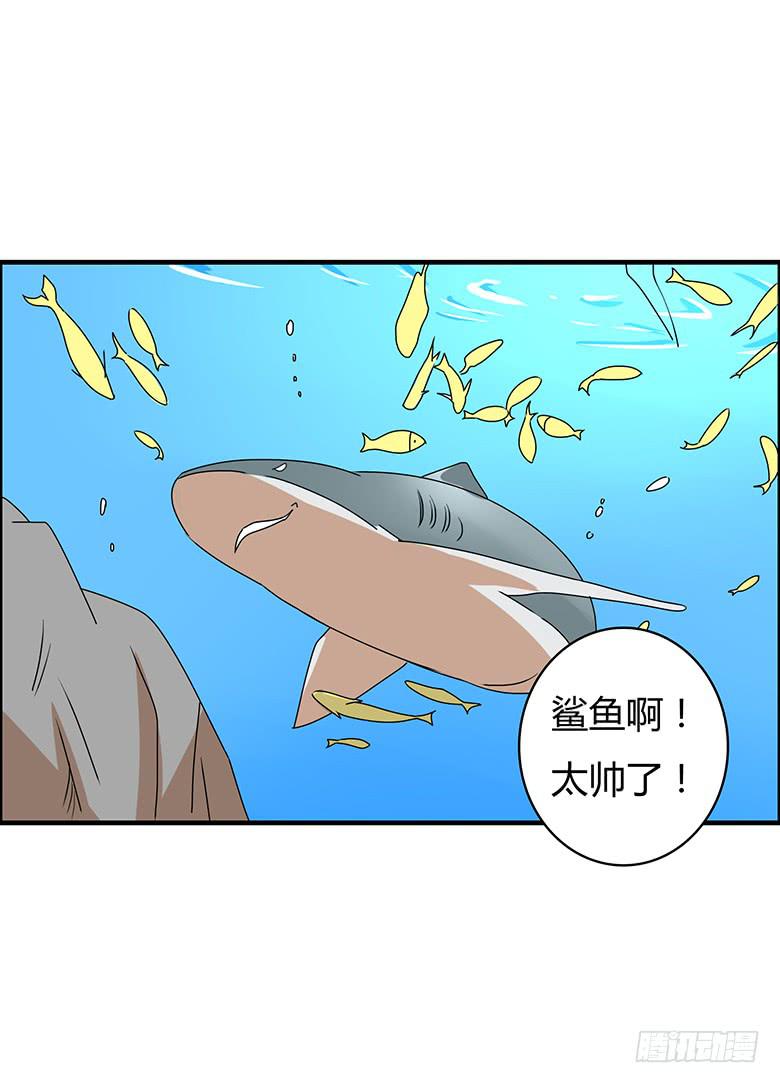 第二季 97.水族馆游玩13