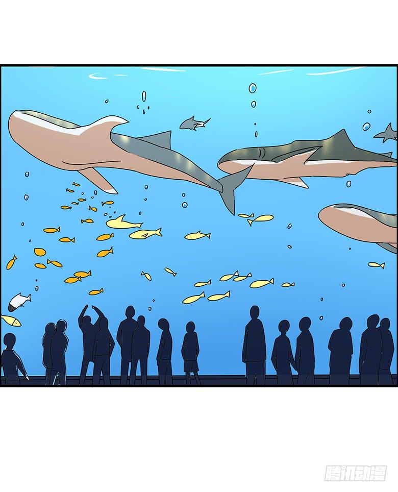 第二季 97.水族馆游玩16