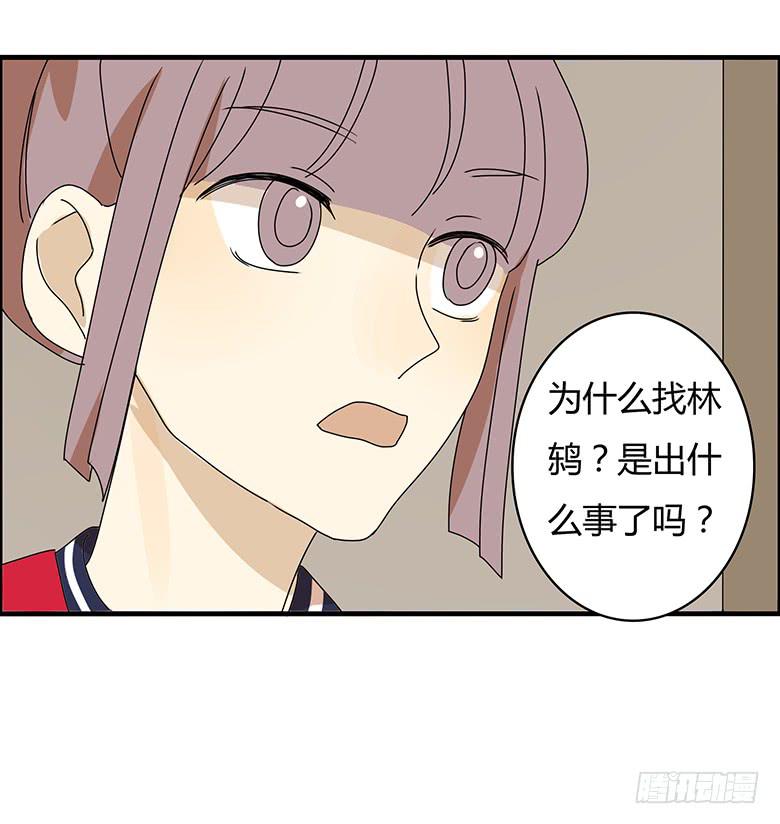 第三季 03.林鸫的过去1