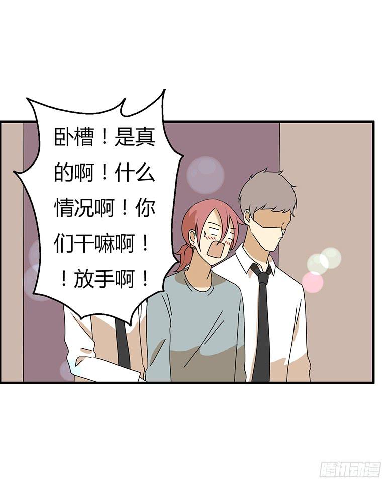 第三季 55.林鸫被抓11