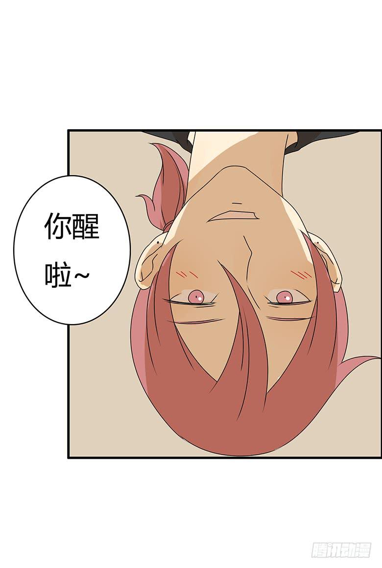 第三季 84.林鸫的一天7