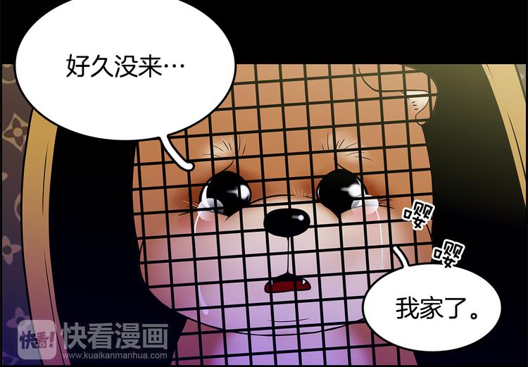 第3话 听懂我的话？115