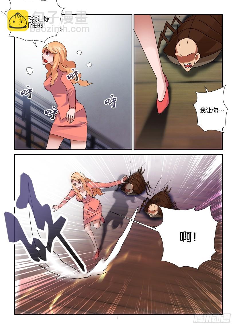 第145回 衣鱼的进化2