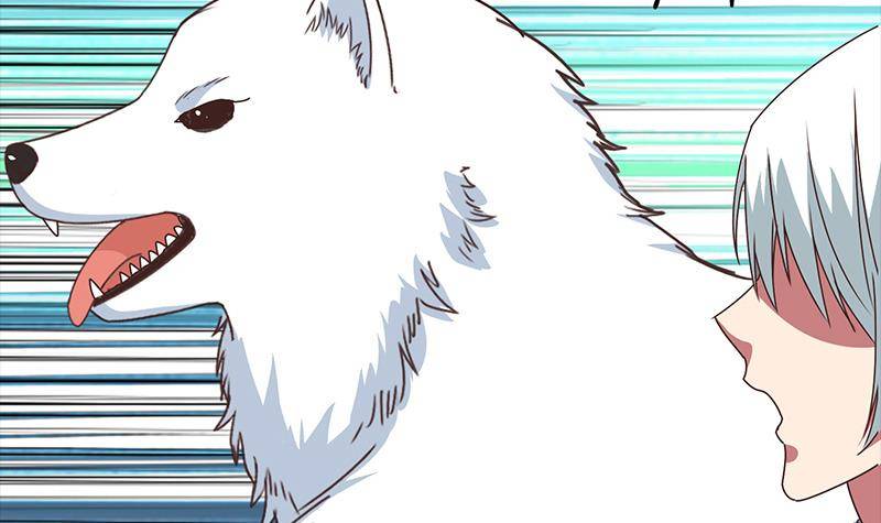 第14话 那就做我男朋友吧14