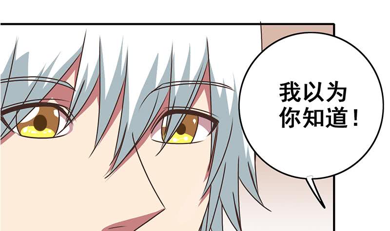 第49话 美女左拥右抱的感觉很爽？15